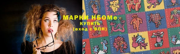 хмурый Богородицк